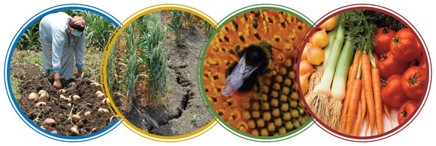 Support NIAB Innovation Farm Support NIAB Innovation Farm